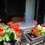Leni Apartmán Pula