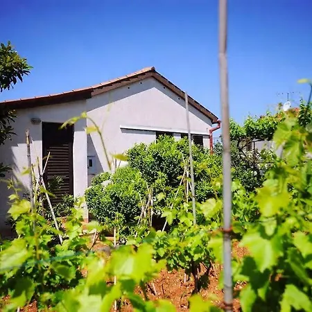 Апартаменты Leni Пула